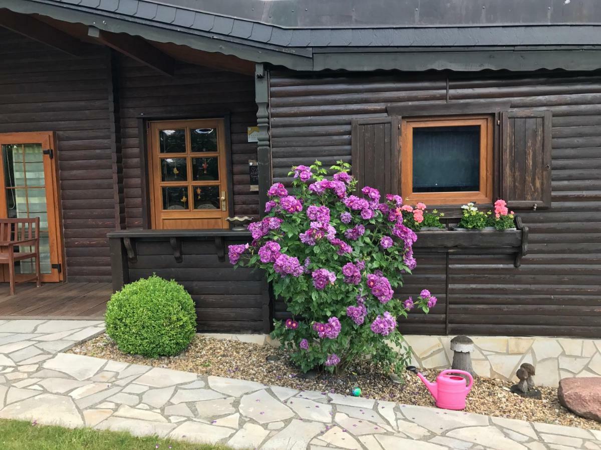 Holzhaus Harz Βίλα Schielo Εξωτερικό φωτογραφία